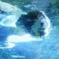 18 DAYS - Follow The New Land