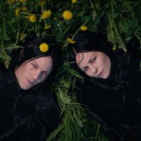 Vesala - Kipee