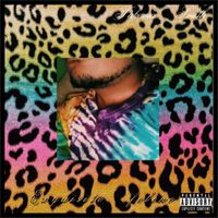 Takoma Smith - Exquisite Feline