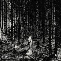 Tropic Gold - WITCH HOUSE