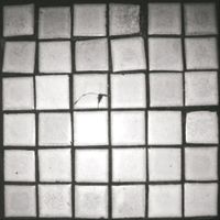 Pergamon - All My Friends Are In The Bathroom
