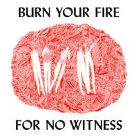Angel Olsen - Burn Your Fire For No Witness (Deluxe Edition)
