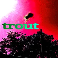 Trout - Trout