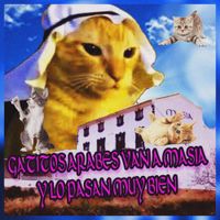 SargentoDMT - Gatitos &aacute;rabes Van A Masia Y Lo Pasan Muy Bien Uwu