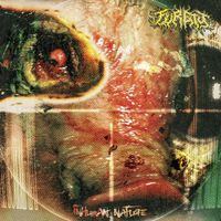 Furety - Inhuman Nature
