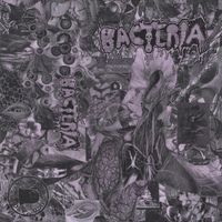 Bacteria - Bacteria