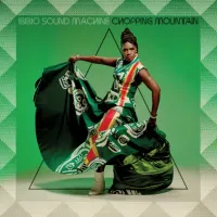 Ibibio Sound Machine - Concept Of Love