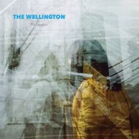 The Wellington - Playmaker