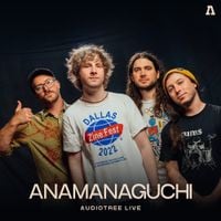 Anamanaguchi - Anamanaguchi On Audiotree Live