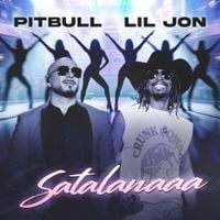 Pitbull - Satalanaaa