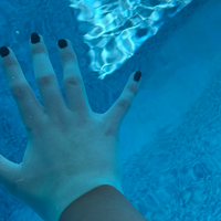 Avery Catbird - Petting The Stingrays