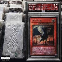 acsvg - TAX CHECKS