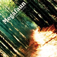 Megafaun - Gather, Form & Fly