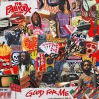 The Paradox - Good For Me