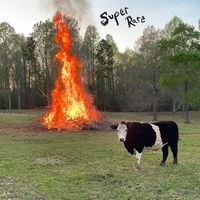 Wes Parker - Super Rare