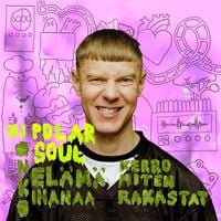 DJ Polarsoul - ONKO EL&Auml;M&Auml; IHANAA? KERRO MITEN RAKASTAT!