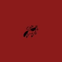 Miniature Tigers - Summer of the Cow
