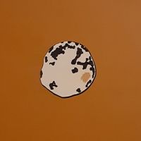 Vague Vanguard - Vague Vanguard