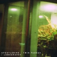 Apostlebird - Twin Pandas / Lomography