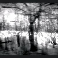 Whisper Room - Birch White