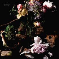 Redwood Hill - Descender