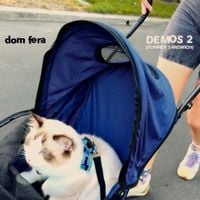 Dom Fera - Demos 2 (Summer Sandwich)
