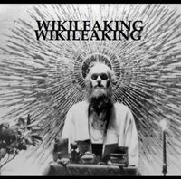 Shape - Wikileaking