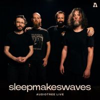 sleepmakeswaves - sleepmakeswaves on Audiotree Live (session #2)