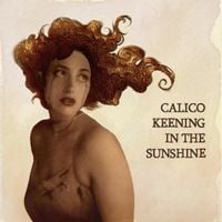 Grace Bevill - Calico Keening In The Sunshine
