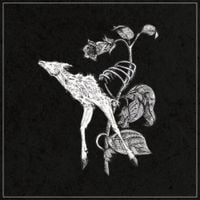 Suicide Forest - World of Decay