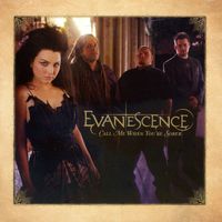 Evanescence - Call Me When You're Sober
