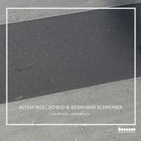 Achim Wollscheid - Calibrated Contingency