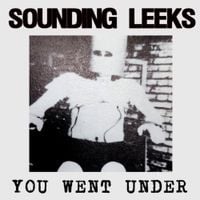 Sounding Leeks - You Went Under