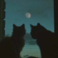 9geek - blue moon