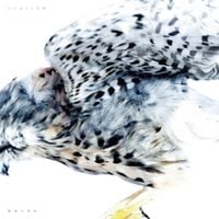 ハイスイノナサ [Haisuinonasa] - 動物の身体 [animal body]