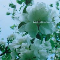 Kettel - Volleyed Iron
