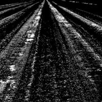 Vacant Wasteland - 1st