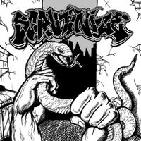 Scrutinize - SNAKE