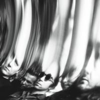 Ty Segall - Black Paint