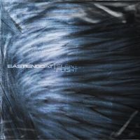 Bastiengoat - SILENT FLIGHT