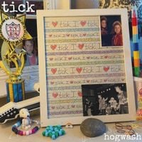 Tick - hogwash