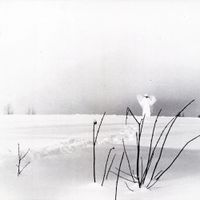 Timo Rautiainen & Trio Niskalaukaus - Itku Pitk&auml;st&auml; Ilosta