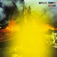 Letuce - Manja Perene