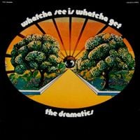 The Dramatics - Whatcha See Is Whatcha Get