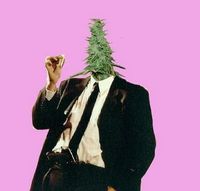 Run DMT - Bong Voyage