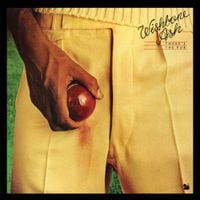 Wishbone Ash - There's the Rub