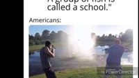 Andrezi - A Group Of Fish Is Called A School