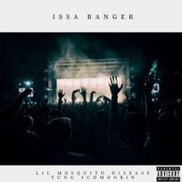 Lil Mosquito Disease - Issa Banger