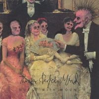 Nurse with Wound - Thunder Perfect Mind