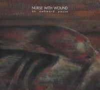 Nurse with Wound - An Awkward Pause